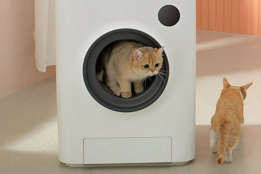 large litter box for multiple cats