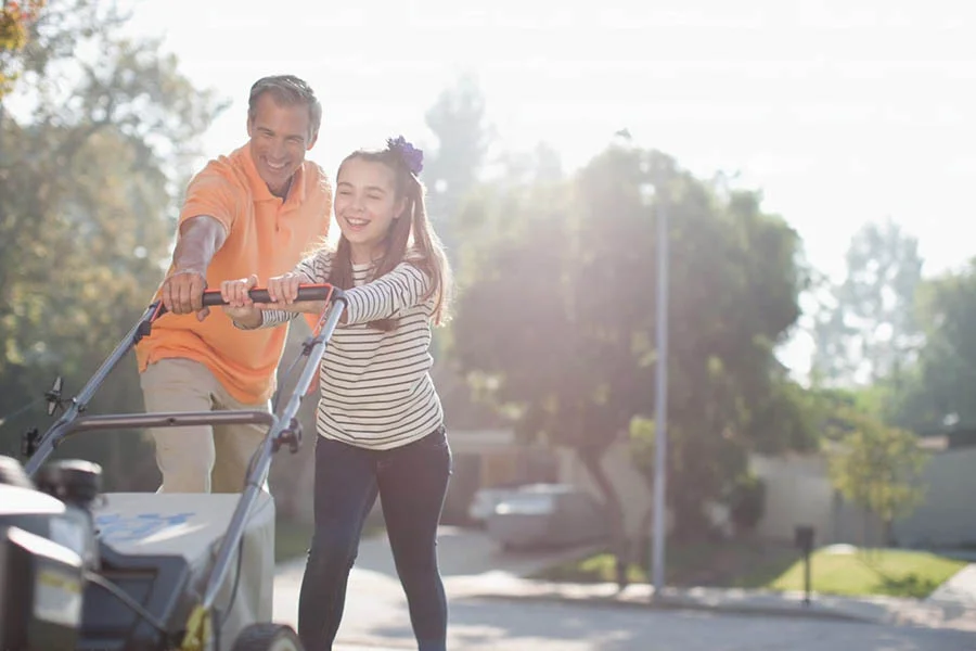 cordless electric lawnmower